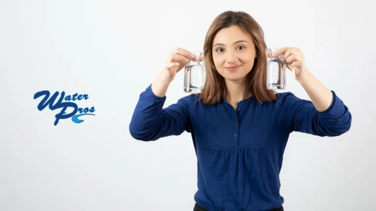 Mineral Water vs Spring Water Which is Better